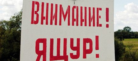 Внимание ящур