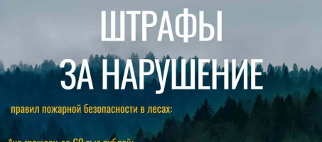 КАК ИЗБЕЖАТЬ ВОЗГОРАНИЙ В ЛЕСУ?